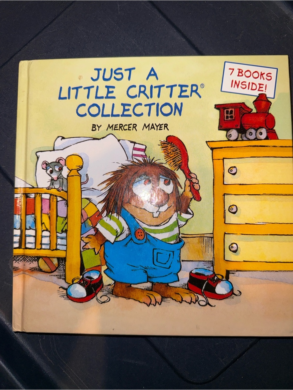 🏖️10 items for $20☀️ Just a Little Critter Collection Book - 7 books in 1